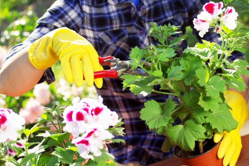 Operative preparing hedge trimming equipment at a property in Brent Cross