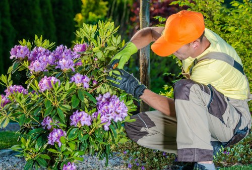 Clean and maintained landscape after tree services