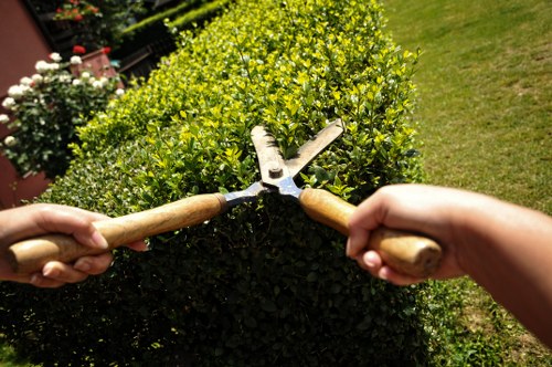 Professional landscapers working on a residential garden in Brent Cross