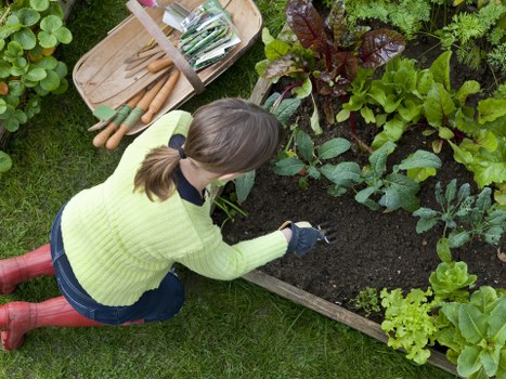 Sustainable landscaping practices with native plants in Brent Cross